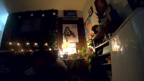 Snapshot of donkellz chatting on October 2025 08:32:01 AM Sapphire Fox online show from October 2025 08:32:01 AM