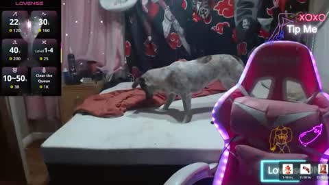 Angelic Angel Donny online show from December 2025 12:07:02 AM