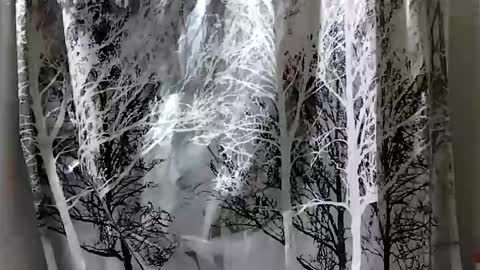 donschlongs online show from December 2024 07:01:01 PM