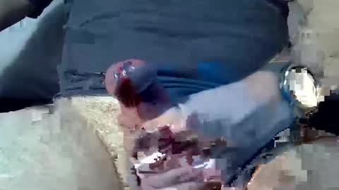 Snapshot of dosser8 chatting on January 2025 07:24:01 PM dosser8 online show from January 2025 07:24:01 PM