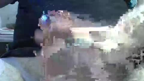 Snapshot of dosser8 chatting on February 2026 02:31:01 PM dosser8 online show from February 2026 02:31:01 PM