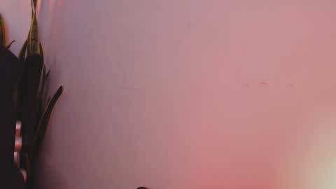 drake_cole11 online show from February 2025 03:22:01 AM