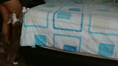 dreamreal online show from November 2025 02:41:01 PM