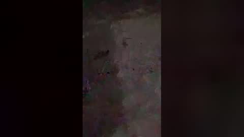 dreamerdick101 online show from December 2025 12:01:02 PM