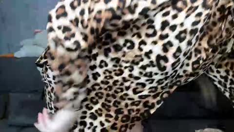 Snapshot of dreamesoul chatting on November 2025 11:32:02 AM dreamesoul online show from November 2025 11:32:02 AM