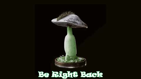 Tara  Sonny online show from February 2025 11:54:02 PM