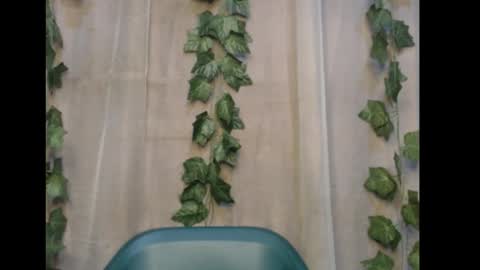 linda online show from November 2025 01:06:02 AM