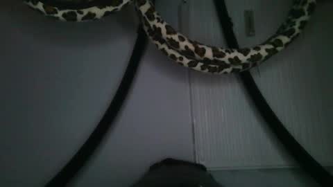 Snapshot of drolyts chatting on February 2026 03:05:02 AM drolyts online show from February 2026 03:05:02 AM