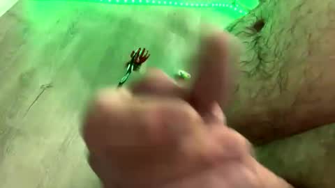 droppingloads82 online show from January 2025 05:43:02 AM