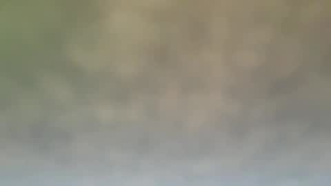 Snapshot of dt51114 chatting on December 2024 06:55:02 PM StraightStroker online show from December 2024 06:55:02 PM