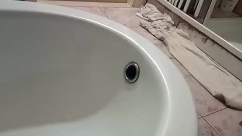 Snapshot of dthedog12 chatting on November 2025 09:46:01 PM dthedog12 online show from November 2025 09:46:01 PM