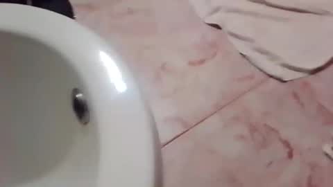 Snapshot of dthedog12 chatting on November 2025 11:58:01 PM dthedog12 online show from November 2025 11:58:01 PM