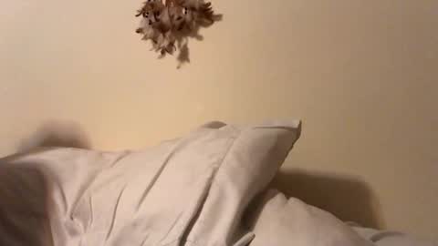 ducebabydee online show from February 2026 05:56:02 AM