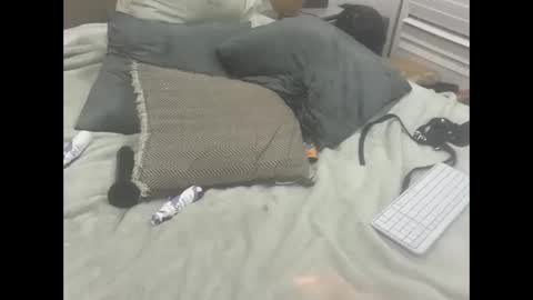 Dude online show from February 2026 11:55:01 PM