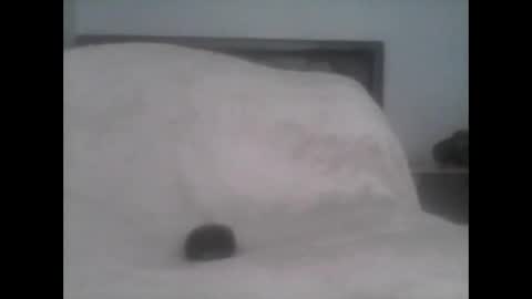 dudek0 online show from November 2025 02:19:02 PM