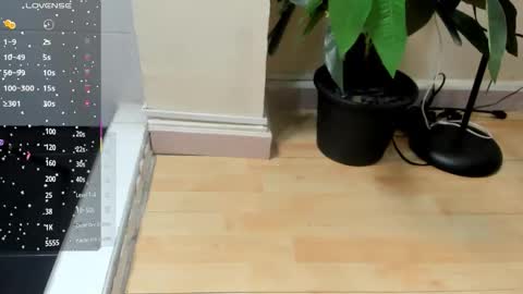 Snapshot of dulce__fiore07 chatting on November 2025 11:46:02 AM dulce__fiore07 online show from November 2025 11:46:02 AM