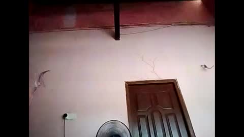 duskytamilkarthik online show from May 2026 05:15:02 AM