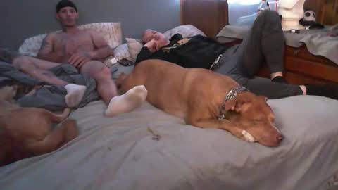 Snapshot of dustinwyant1983 chatting on November 2025 07:12:01 PM dustinwyant1983 online show from November 2025 07:12:01 PM