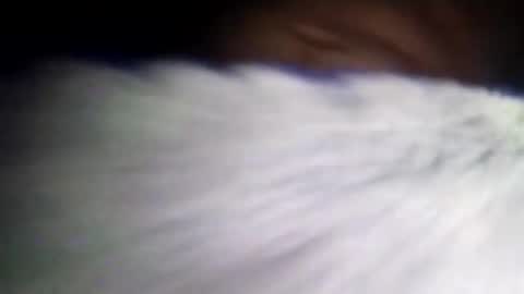 duvanarleyy online show from October 2025 06:36:01 AM