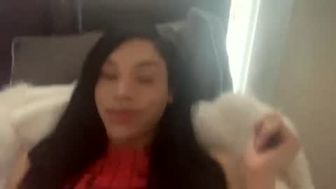 Snapshot of dynasty313 chatting on February 2025 09:10:01 PM Dynasty online show from February 2025 09:10:01 PM