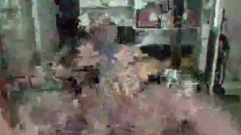 eagleye46 online show from December 2024 04:47:02 PM