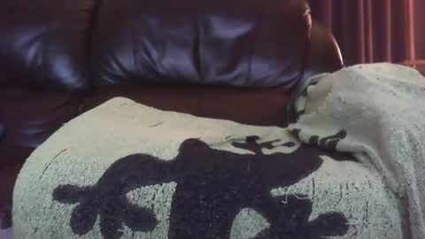 Ectopicstarfish online show from December 2024 08:41:01 AM