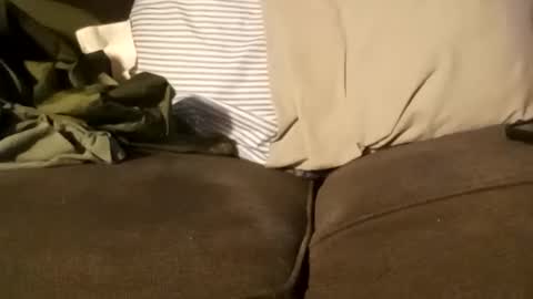 edmore1215 online show from December 2024 03:37:01 PM