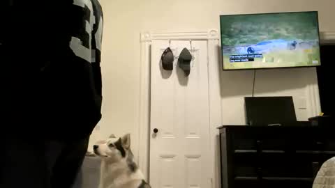 edvmendez1766 online show from October 2025 05:33:01 AM