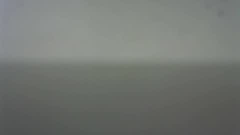 Snapshot of eider122 chatting on February 2026 03:51:02 AM EIder online show from February 2026 03:51:02 AM