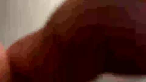 PiedPiper online show from May 2026 11:27:01 AM