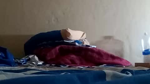 Snapshot of el131140 chatting on January 2025 07:17:02 AM Sebastin online show from January 2025 07:17:02 AM