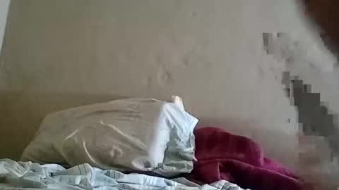 Snapshot of el131140 chatting on February 2025 03:41:02 AM Sebastin online show from February 2025 03:41:02 AM