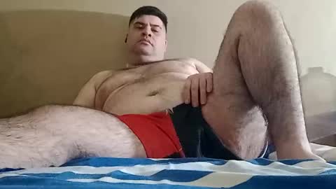 Snapshot of el131140 chatting on October 2025 08:04:02 AM Sebastin online show from October 2025 08:04:02 AM