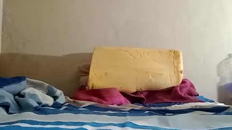 Snapshot of el131140 chatting on October 2025 10:16:02 AM Sebastin online show from October 2025 10:16:02 AM