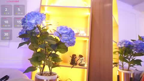 Snapshot of elasummeer chatting on November 2025 11:54:02 AM Elasummeer online show from November 2025 11:54:02 AM