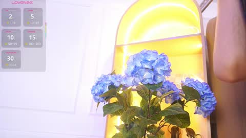 Snapshot of elasummeer chatting on November 2025 11:57:02 AM Elasummeer online show from November 2025 11:57:02 AM