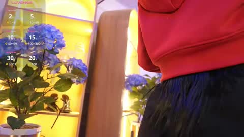 Elasummeer online show from January 2026 11:37:02 AM