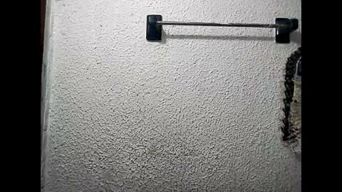 electra_tay1 online show from October 2025 06:08:02 PM
