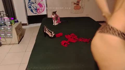 Snapshot of elektra_and_konan_01 chatting on September 2025 12:06:01 PM Elektra and Konan online show from September 2025 12:06:01 PM