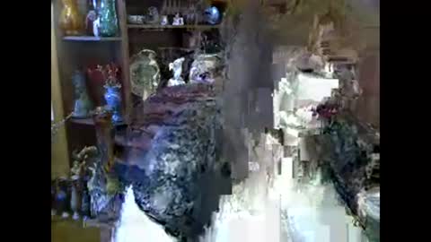 ElenaZed online show from February 2026 09:13:02 AM