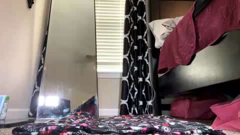 Snapshot of elenore_hoesevelt chatting on September 2025 04:51:02 PM Elenore Hoesevelt online show from September 2025 04:51:02 PM