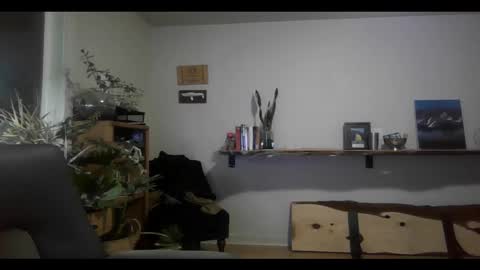 Snapshot of elephantfox chatting on February 2025 03:18:02 AM fox online show from February 2025 03:18:02 AM