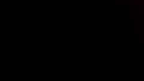 Snapshot of elessar_telcontar chatting on January 2025 05:37:02 PM elessar_telcontar online show from January 2025 05:37:02 PM