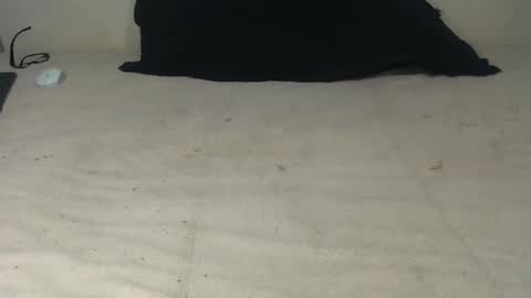 Snapshot of elgsslt chatting on October 2025 10:49:02 AM elgsslt online show from October 2025 10:49:02 AM