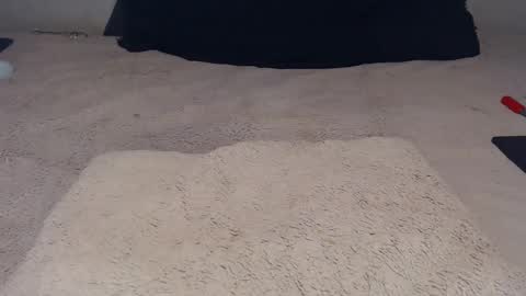 Snapshot of elgsslt chatting on November 2025 12:16:02 PM elgsslt online show from November 2025 12:16:02 PM