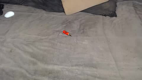 elgsslt online show from March 2026 12:22:01 PM