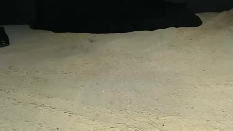 elgsslt online show from April 2026 09:26:01 AM