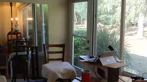 Snapshot of eliberator chatting on December 2025 04:58:02 PM eliberator online show from December 2025 04:58:02 PM