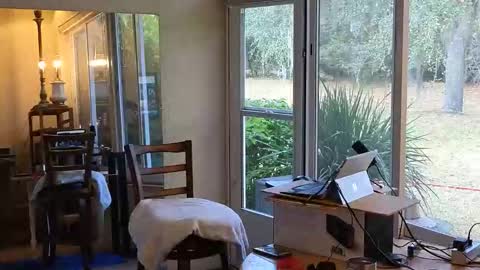 Snapshot of eliberator chatting on January 2026 06:43:02 PM eliberator online show from January 2026 06:43:02 PM