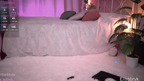 Snapshot of elise_bryk chatting on November 2025 04:20:01 PM hiIm Elise online show from November 2025 04:20:01 PM